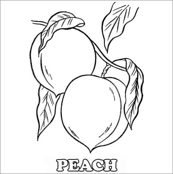 Quả đào mềm mại với tông màu hồng phấn dịu nhẹ cho bé thực hành