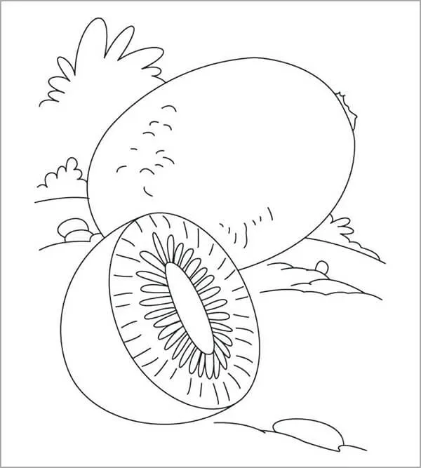 Quả kiwi với các chi tiết hạt li ti giúp bé rèn luyện đôi mắt tinh tường