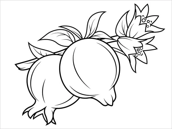 Trái lựu với lớp vỏ dày và nhiều hạt bên trong kích thích sự tò mò của trẻ