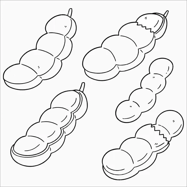 Trái me uốn cong độc đáo hoàn thiện kỹ năng điều khiển bút màu của bé