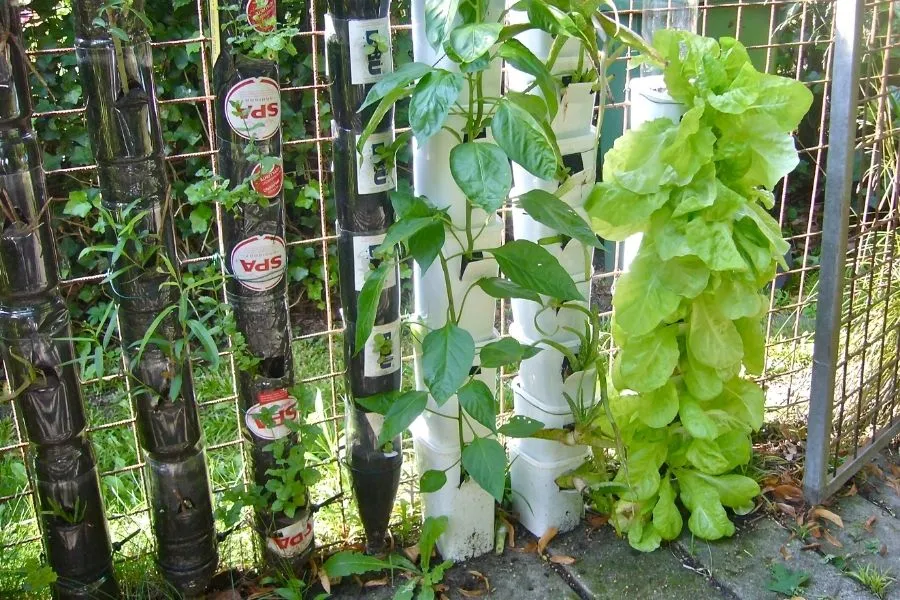 Cách sắp xếp chai nước khoáng theo trục đứng tiết kiệm không gian