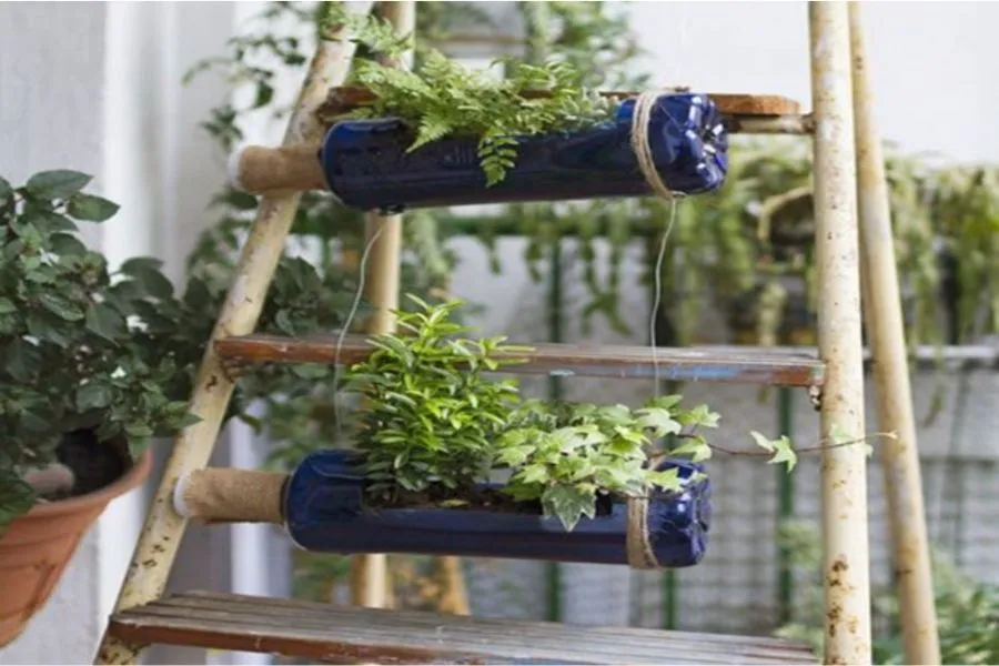 Tận dụng thang gỗ cũ làm giàn treo rau bằng chai nhựa