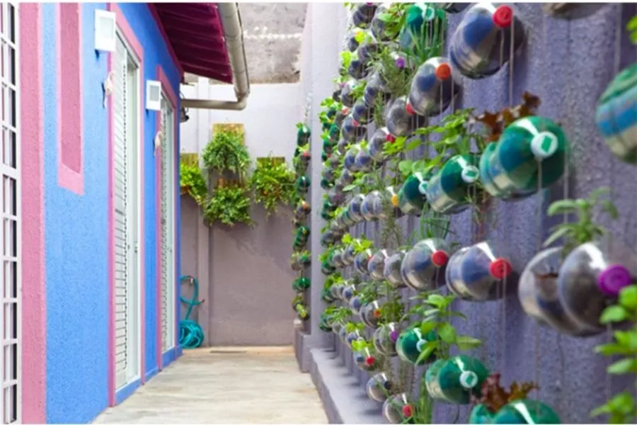 Vườn rau tường đứng tối ưu diện tích ban công