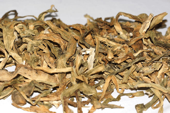 Trinh Nữ Hoàng Cung: Công Dụng Giảm U Bướu, Cách Sử Dụng Hiệu Quả Từ A-Z