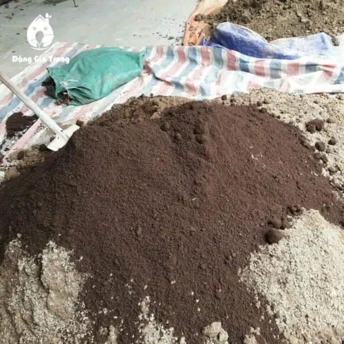 Thao tác dùng xẻng đảo đều giá thể tơi xốp và lượng phân bón vi sinh