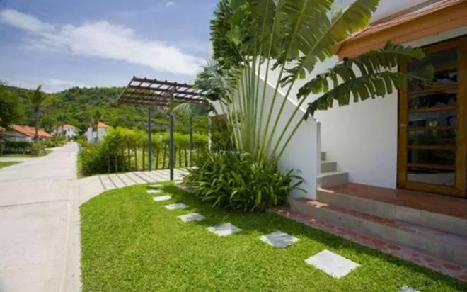 Cây chuối trồng sau nhà mang lại nhiều lợi ích