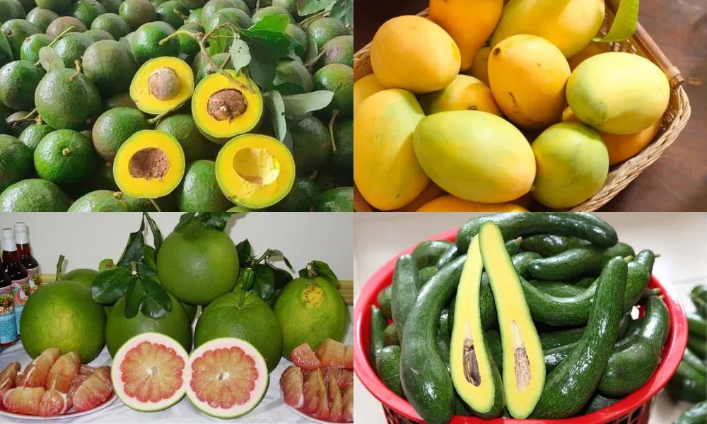 Bơ, xoài và bưởi là những mặt hàng tiềm năng cho thị trường quốc tế