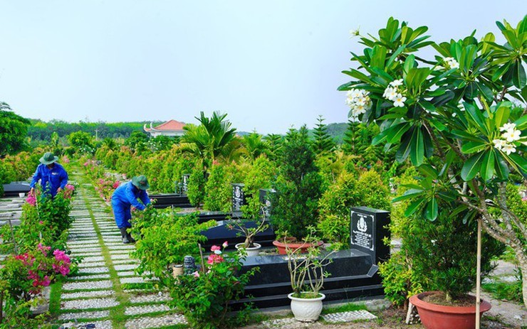 Trồng Cây Gì Trên Mộ Là Tốt Nhất? Hướng Dẫn Chi Tiết Chuẩn Phong Thủy