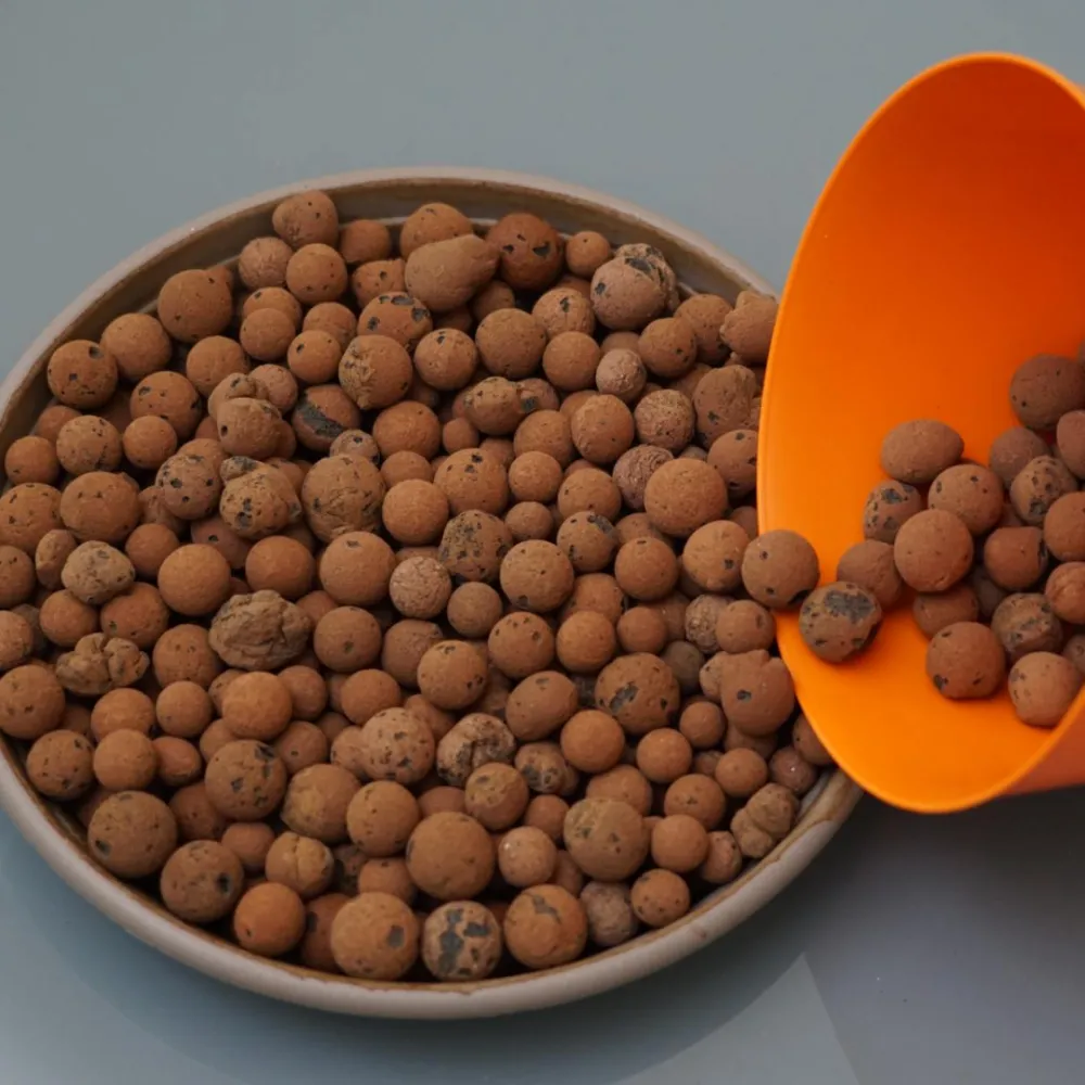 Cấu trúc chậu trồng cây không cần đất với sỏi hydro