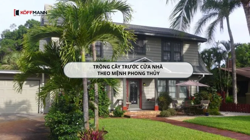 Lựa chọn cây trồng theo mệnh giúp gia tăng vận may cho gia chủ