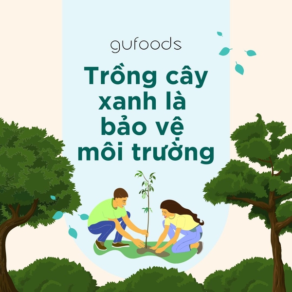 Trồng Nhiều Cây Xanh Để Làm Gì Và Cách Bảo Vệ Môi Trường