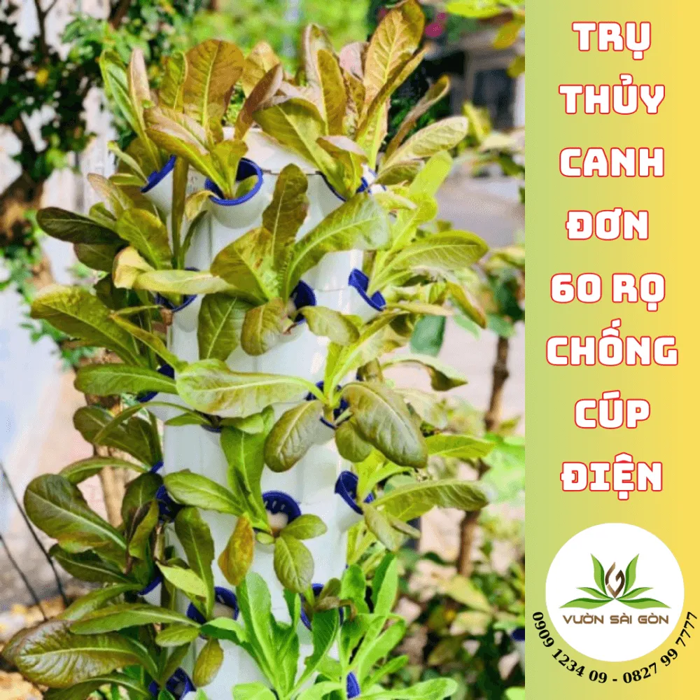 Sản phẩm thực tế với rau xanh mướt phát triển đồng đều