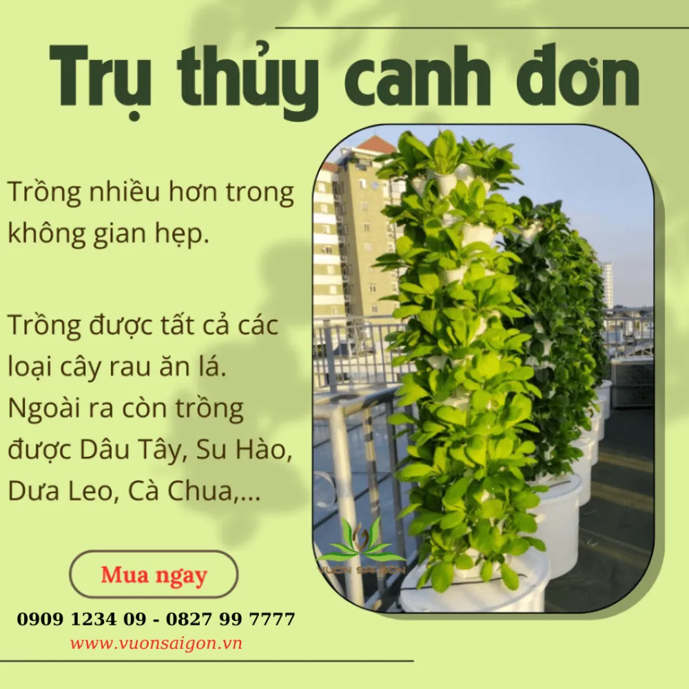 Đa dạng các loại rau có thể canh tác trên hệ thống trụ đứng