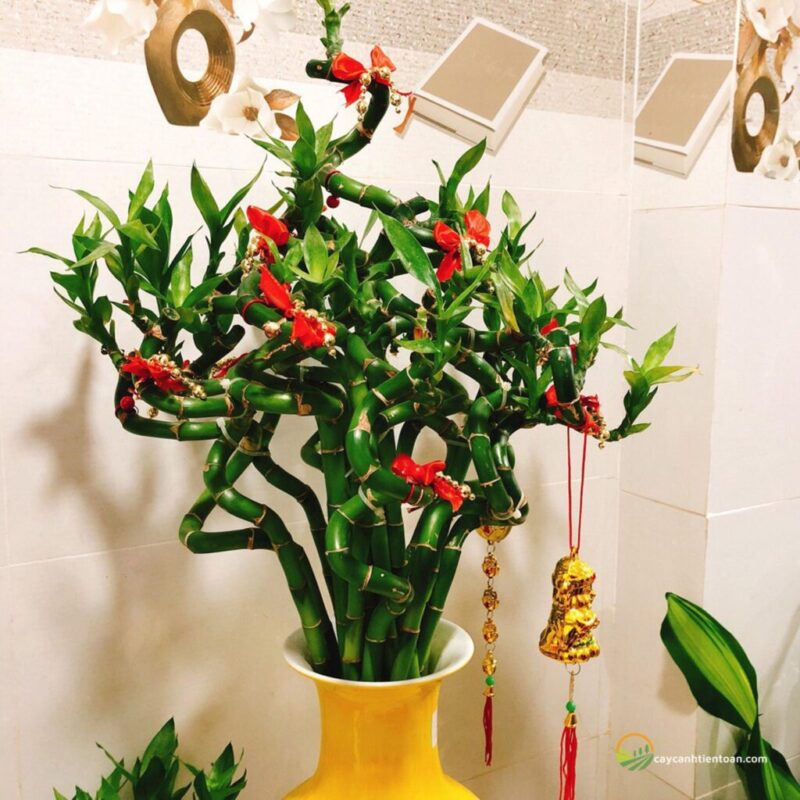 So Sánh Chi Tiết Các Loại Giá Thể Cây Trồng Phổ Biến Nhất Hiện Nay