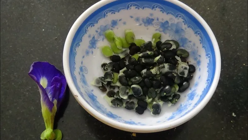 Chuẩn bị hạt giống hoa đậu biếc và các dụng cụ trồng cây