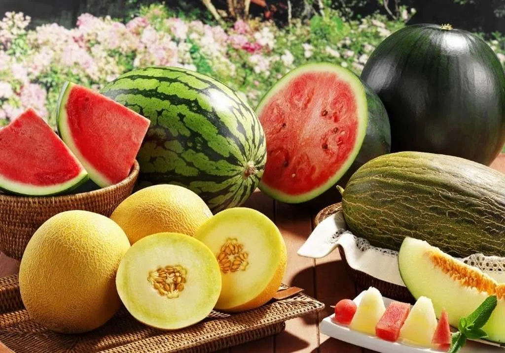 Khám phá tên gọi tiếng anh của các loại dưa phổ biến hiện nay
