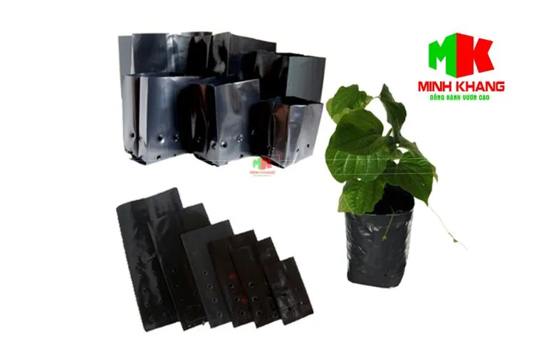 Quy trình sản xuất túi bầu ươm cây PE đen tại xưởng hiện đại