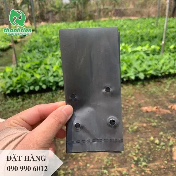 Túi nhựa đen chuyên dụng cho ươm cây trồng tại nhà