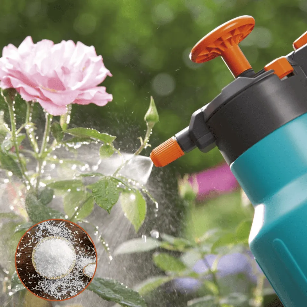 Tưới bột ngọt đúng phương pháp vào gốc cây để đạt hiệu quả tối ưu