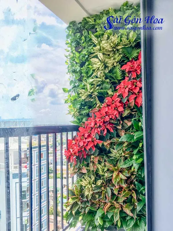 Tường cây ban công