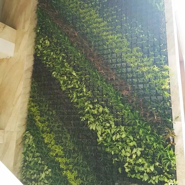 Dự án vườn tường xanh mát tại khách sạn khu vực Ba Đình