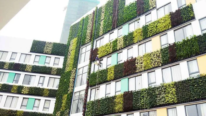 Mảng xanh tường đứng tại bệnh viện Vinmec mang lại cảm giác thư thái