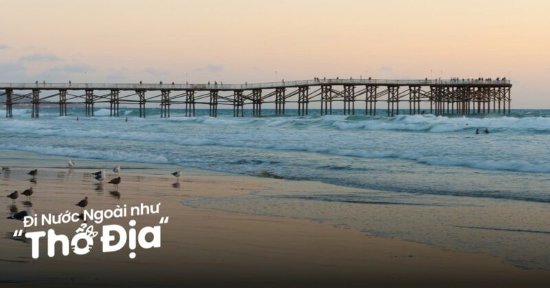 Cho Thuê Máy Làm Lạnh Nước Trái Cây Trọn Gói Chuyên Nghiệp Tại TP.HCM