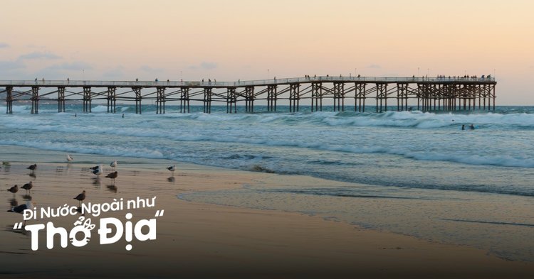 Cho Thuê Máy Làm Lạnh Nước Trái Cây Trọn Gói Chuyên Nghiệp Tại TP.HCM