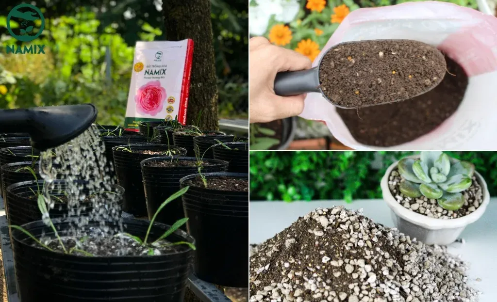 ưu điểm của đất sạch