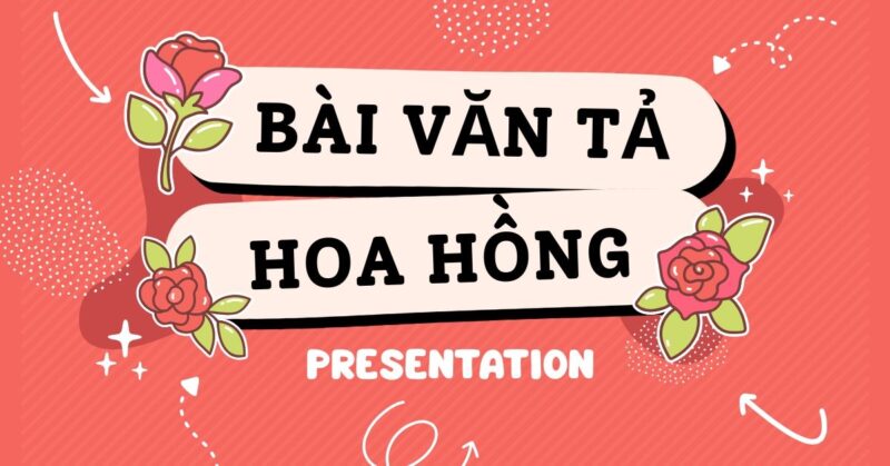 Bài Văn Tả Về Cây Hoa Hồng Lớp 4 Ngắn Gọn Đạt Điểm Cao