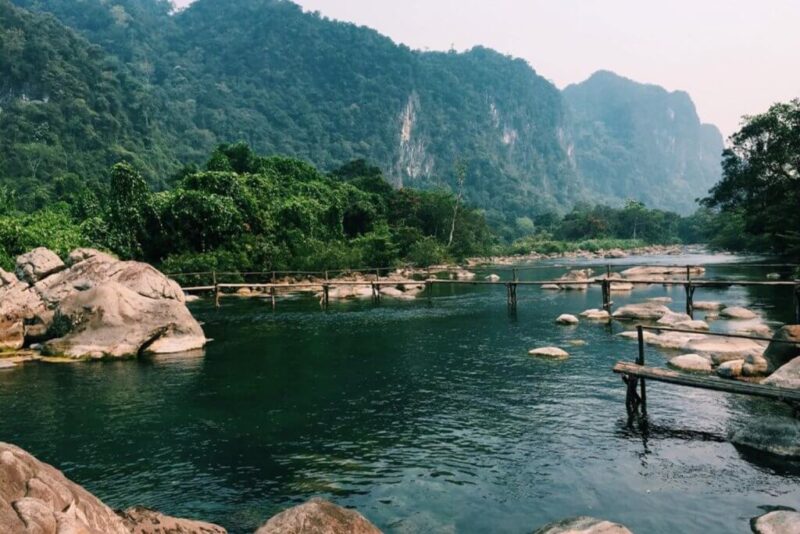 Phong Thủy Trồng Cây Khế Trước Cửa Nhà: Hướng Dẫn Chi Tiết Từ A-Z