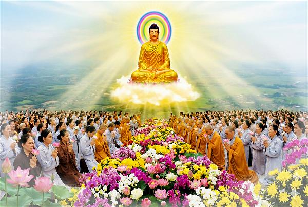 Ý Nghĩa Câu Ăn Quả Nhớ Kẻ Trồng Cây Và Bài Học Về Lòng Biết Ơn