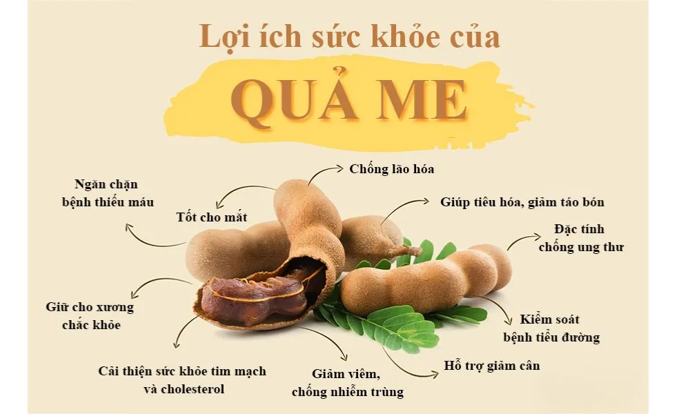 Cây me không chỉ làm cảnh mà các bộ phận như quả, lá còn có nhiều công dụng thực tế