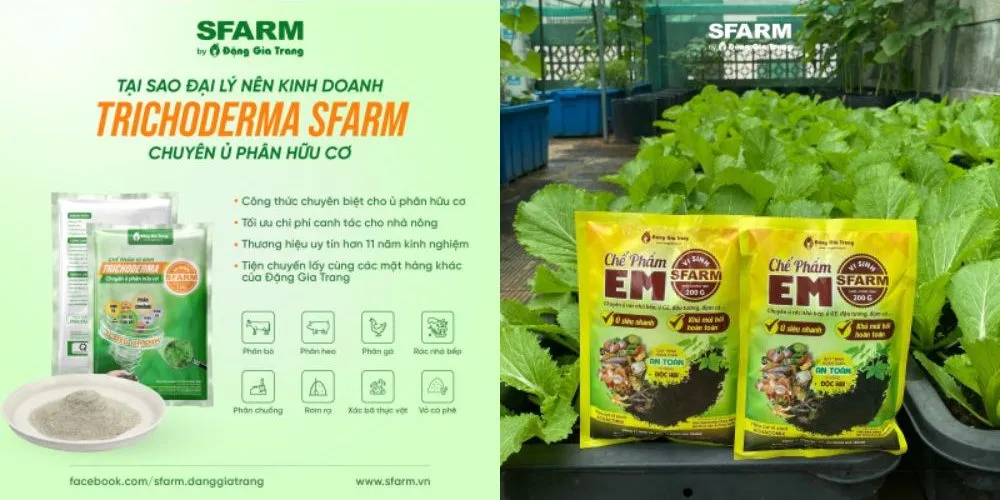 Chế phẩm sinh học Trichoderma và EM SFARM
