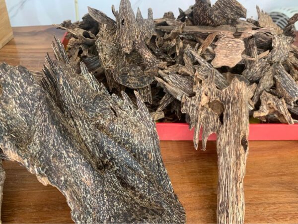 Vì sao cây Gió Bầu lại tạo ra Trầm Hương quý giá?