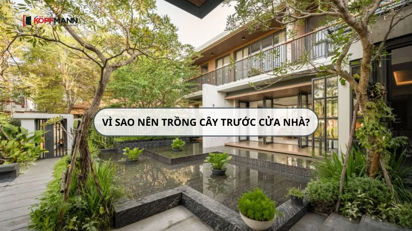 Tại sao nên trồng cây trước cửa nhà để cải thiện không gian sống