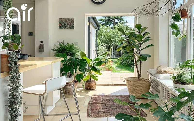 Vì sao nên trồng thật nhiều cây xanh ở khu vực bạn sinh sống?