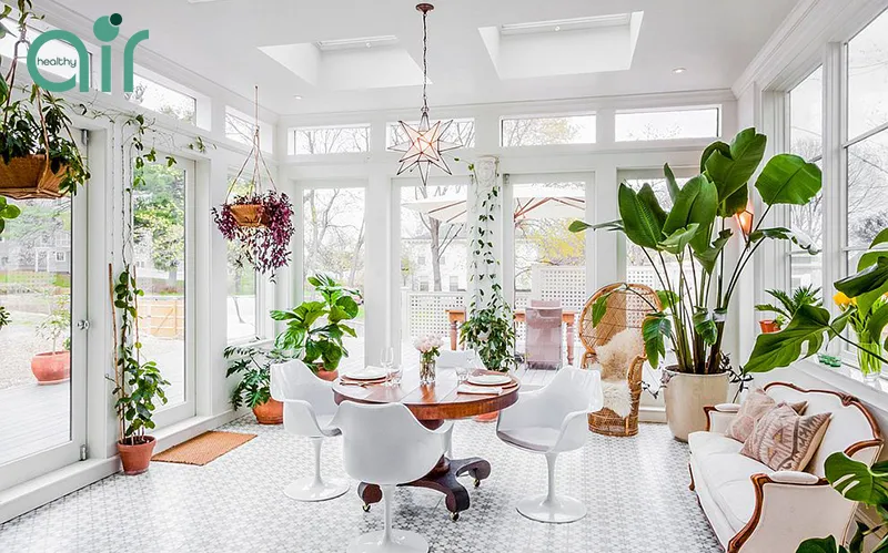 Vì sao nên trồng thật nhiều cây xanh ở khu vực bạn sinh sống?