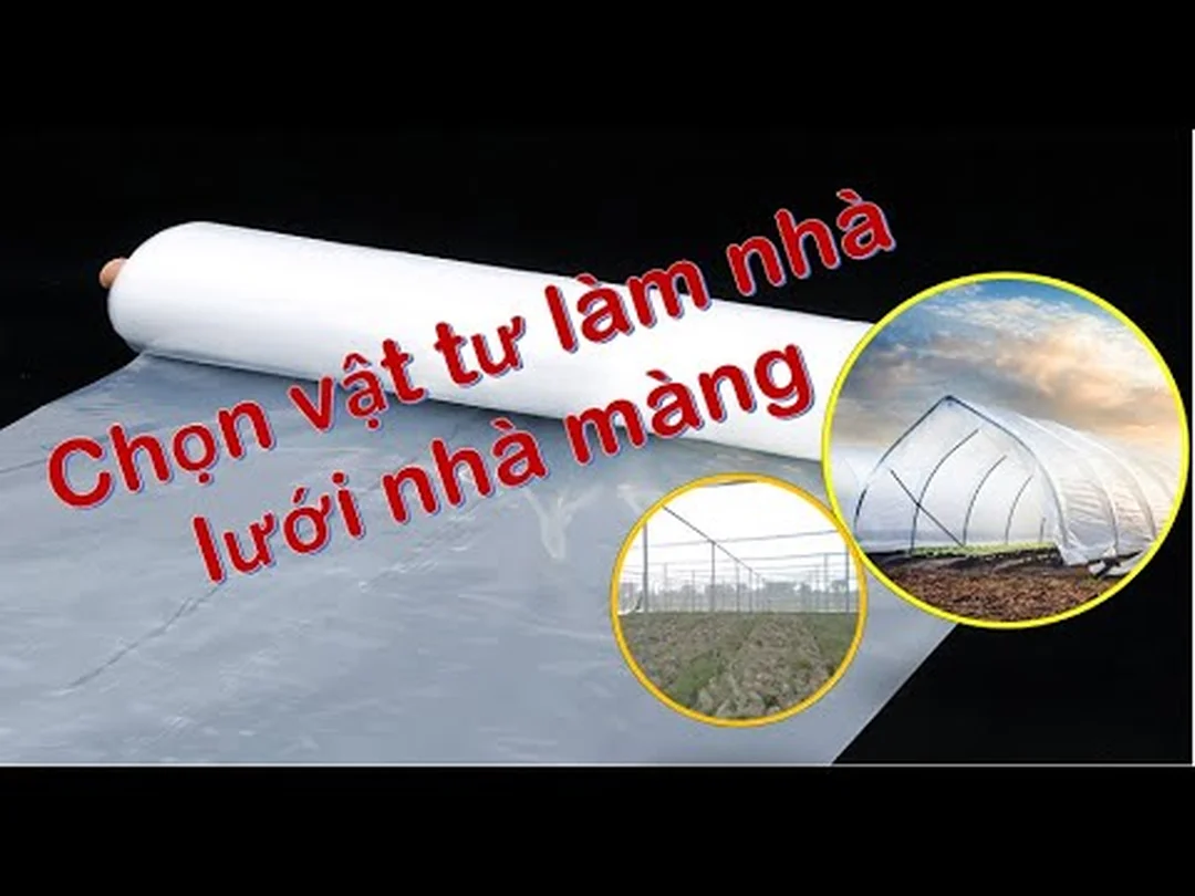 Video chọn lưới ngăn côn trùng cho nhà kính