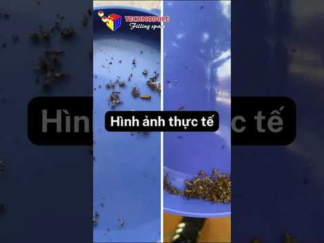 Video đèn bắt muỗi DS-D6N thực tế