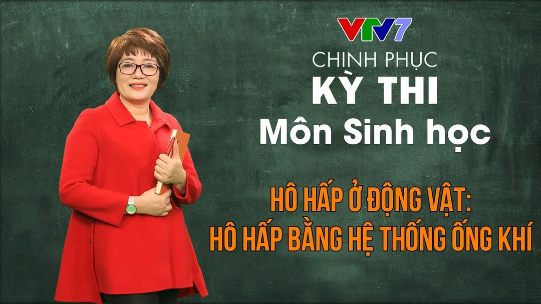 Video hô hấp ở động vật bằng hệ thống ống khí
