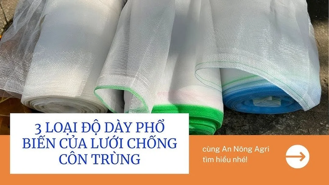 Video hướng dẫn dùng lưới chắn côn trùng 50 mesh trong nhà lưới
