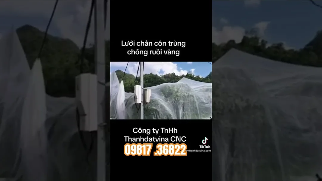 Video thực tế lắp lưới chống côn trùng cho vườn cây