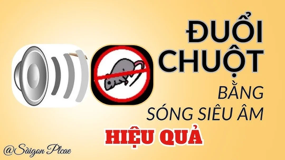 Video về thiết bị đuổi chuột siêu âm và cách dùng thực tế