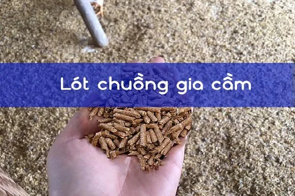 Viên nén gỗ dùng để làm gì trong công nghiệp và nông nghiệp
