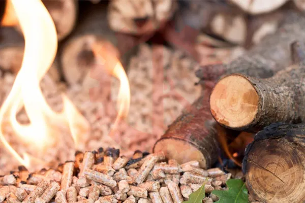 Viên nén gỗ là gì | Ficoco