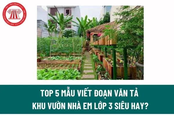 Mẫu viết đoạn văn tả khu vườn nhà em lớp 3 hay nhất 2026