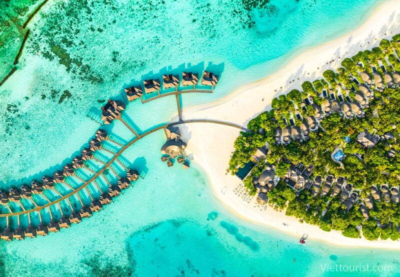 Giới Thiệu Về Trái Cây Việt Nam: Khám Phá Thiên Đường Nhiệt Đới