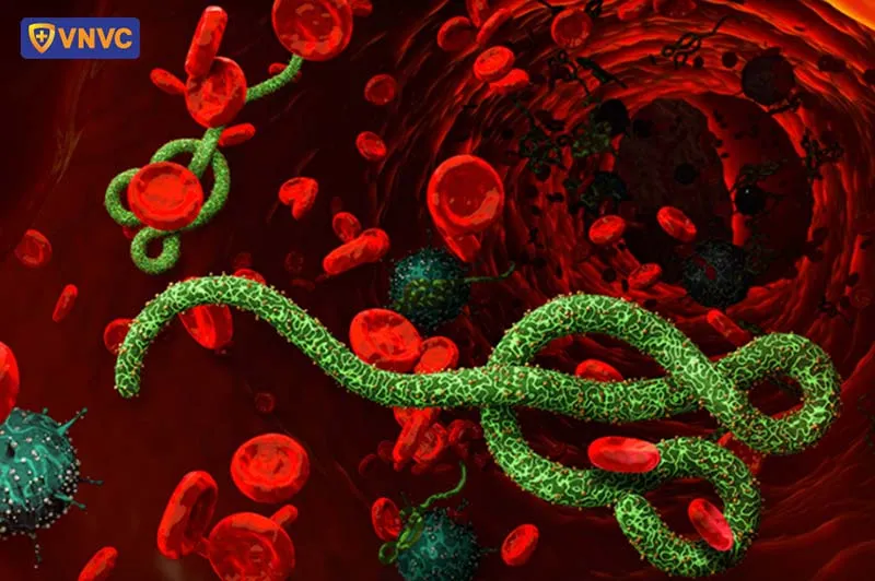 Trang bị kỹ năng và thiết bị bảo hộ khi phun xịt chế phẩm bảo vệ thực vật là vô cùng quan trọng