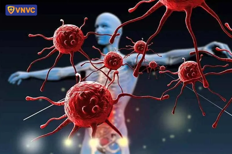 Sơ đồ virus xâm nhập vào mô tế bào thông qua các véc-tơ côn trùng trung gian